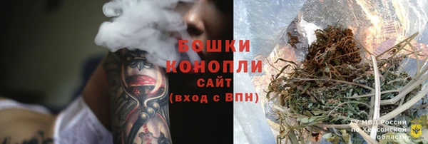 Альфа ПВП Бугульма