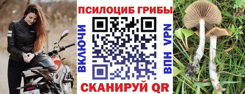 Галлюциногенные грибы мухоморы  Котельнич 