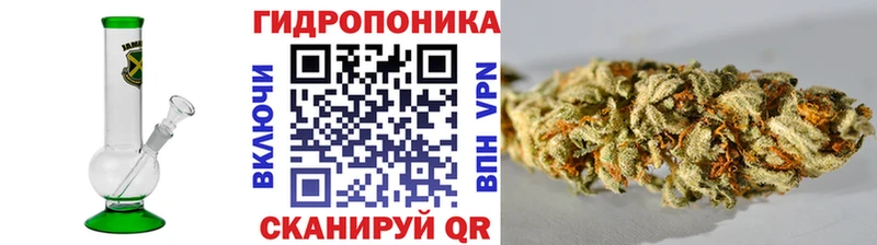 Бошки марихуана Bruce Banner Котельнич